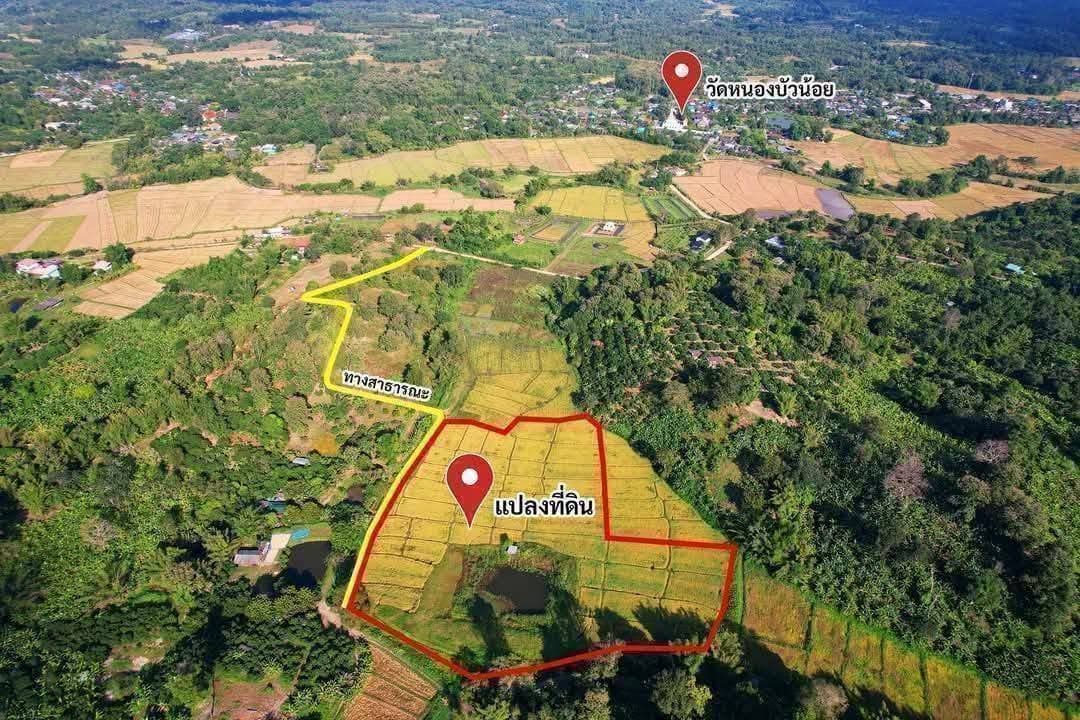 ไร่ละ450,000 Mountain view@แม่แตง ไม่ใช่แค่วิว แต่เหมือนเอาตัวคุณไปอยู่ชิดๆติดๆเขา เกือบ 3 5