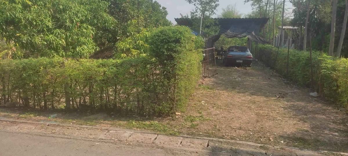 **ขายที่ดินสวย ทำเลดี ต.น้ำแพร่ - หางดง เชียงใหม่** 3