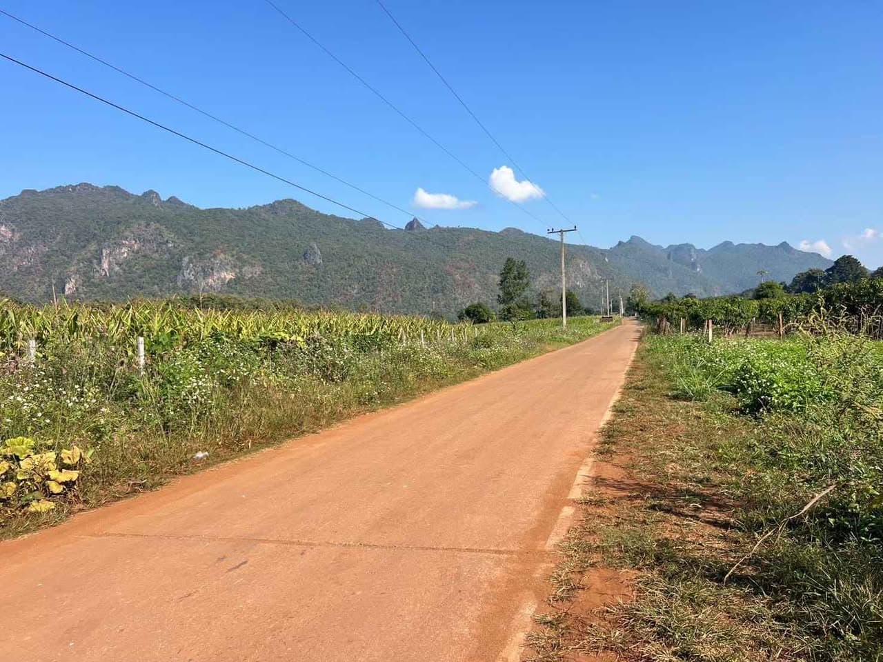 ขายที่ดินปิงโค้ง เชียงดาว เชียงใหม่ เหมาะสำหรับปลูกบ้านหรือทำการเกษตร ขนาด 200 ตรว ราคา 55 4
