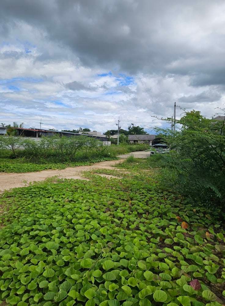 ขายที่ดินสวย ใกล้เมือง ทำเลน่าอยู่ ราคาคุ้มค่า 2