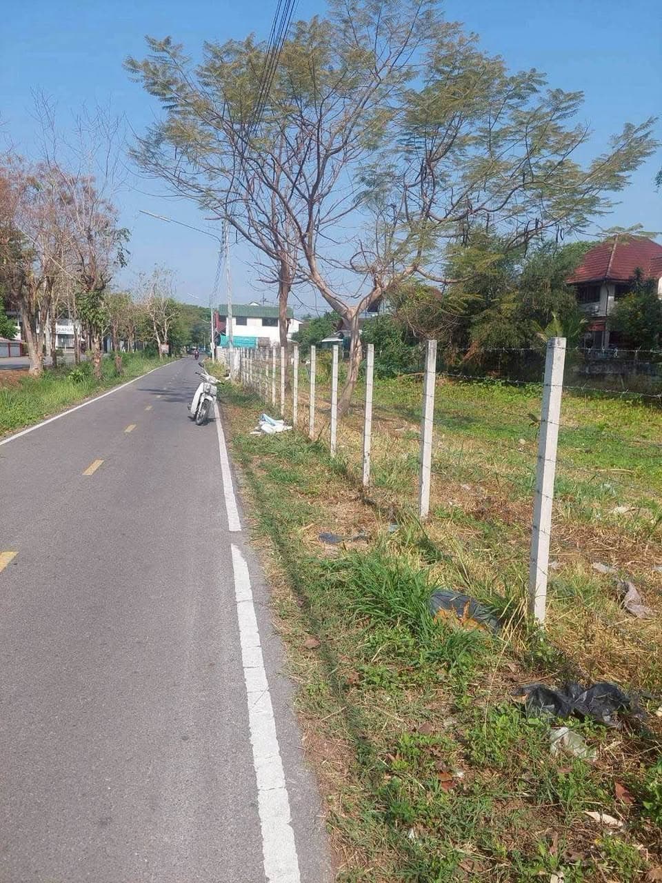 ขายที่ดิน แม่เหียะ อ.เมืองเชียงใหม่ ใกล้ ร.ร.สารสาสน์ 10 ไร่ 1 งาน 95 ตร.ว.
