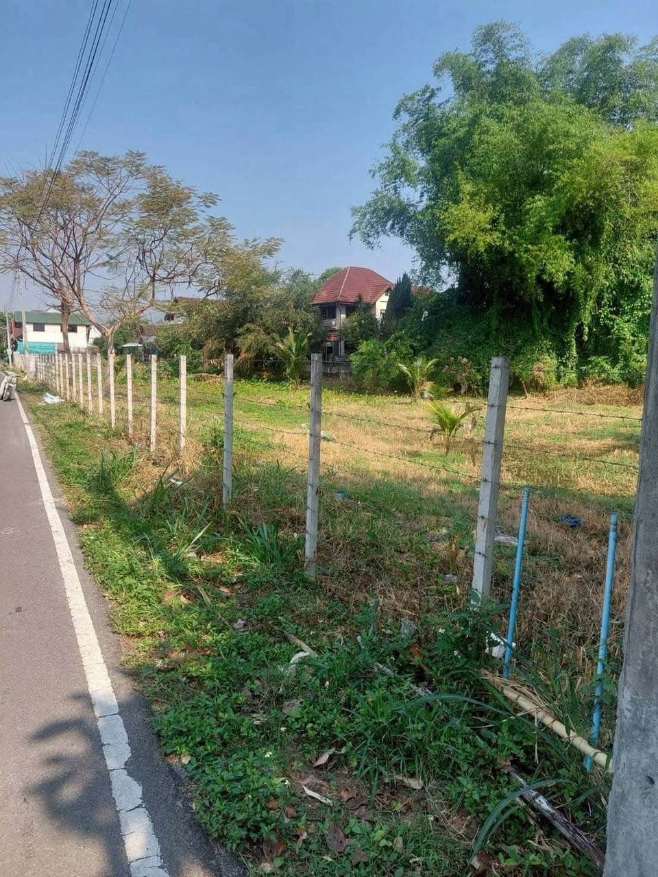 ขายที่ดิน แม่เหียะ อ.เมืองเชียงใหม่ ใกล้ ร.ร.สารสาสน์ 10 ไร่ 1 งาน 95 ตร.ว. 3
