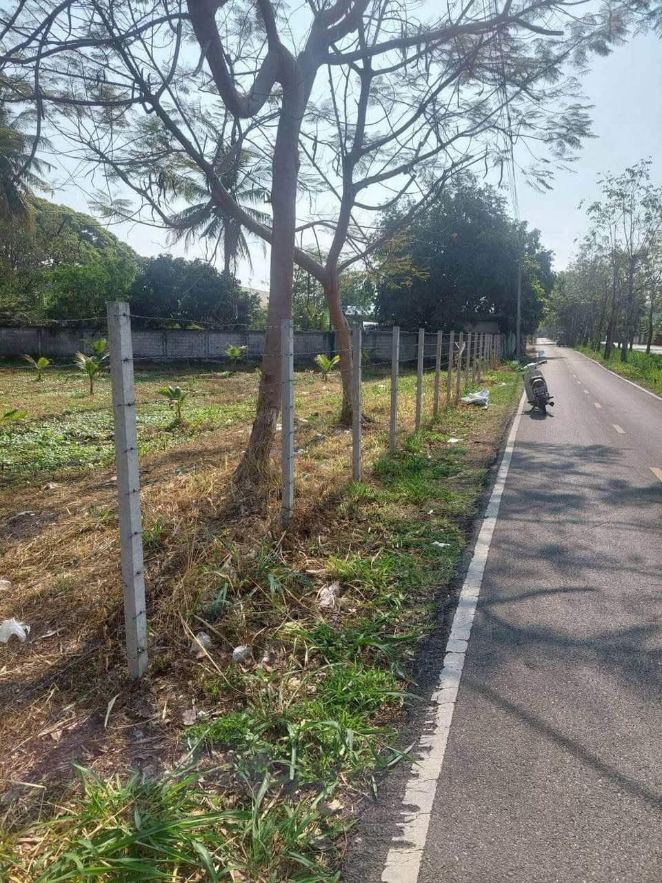 ขายที่ดิน แม่เหียะ อ.เมืองเชียงใหม่ ใกล้ ร.ร.สารสาสน์ 10 ไร่ 1 งาน 95 ตร.ว. 5