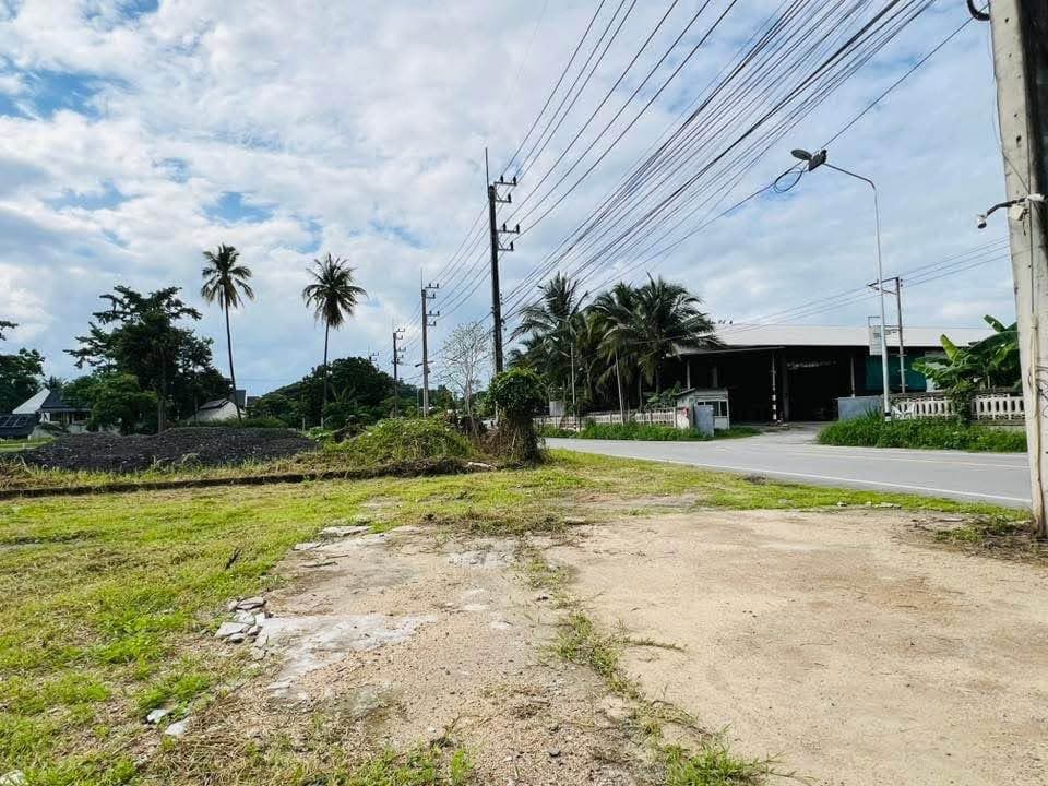 ปรับราคาหลุดจอง ที่ดินเปล่าถมแล้วแปลงสวยอำเภอแม่ริมด่วน 4