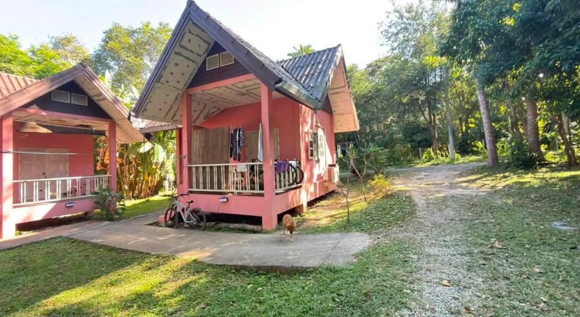ขายที่ดินเชียงใหม่ – ทำเลช่างเคี่ยน ใกล้มหาวิทยาลัยเชียงใหม่! 2